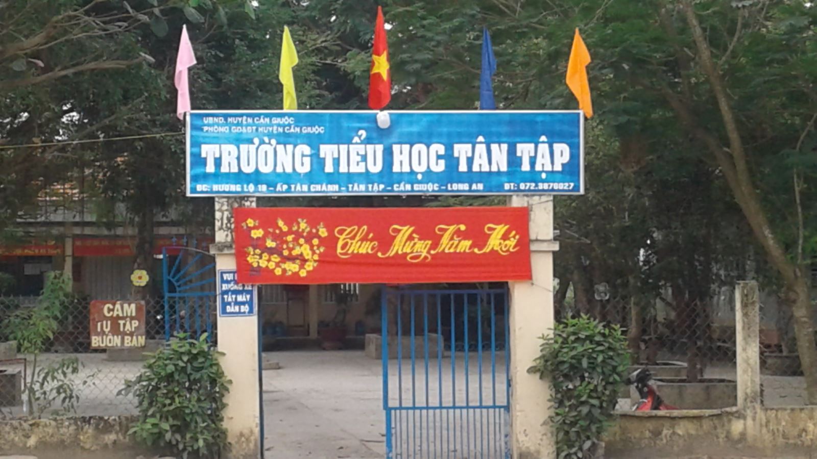 HOẠT ĐỘNG TRƯỜNG TIỂU HỌC TÂN TẬP